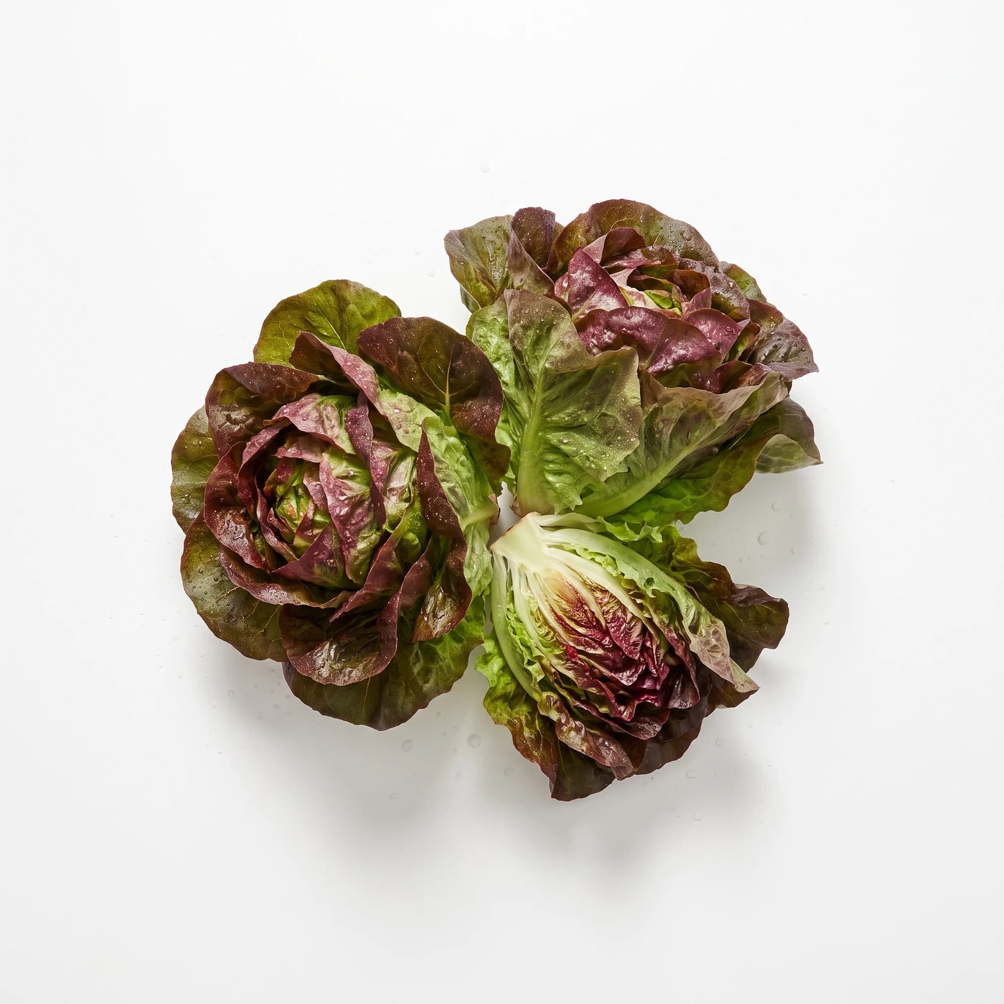 Lechuga sangría
