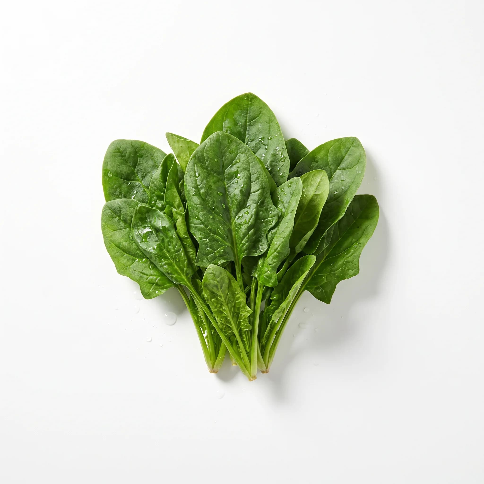 Espinaca