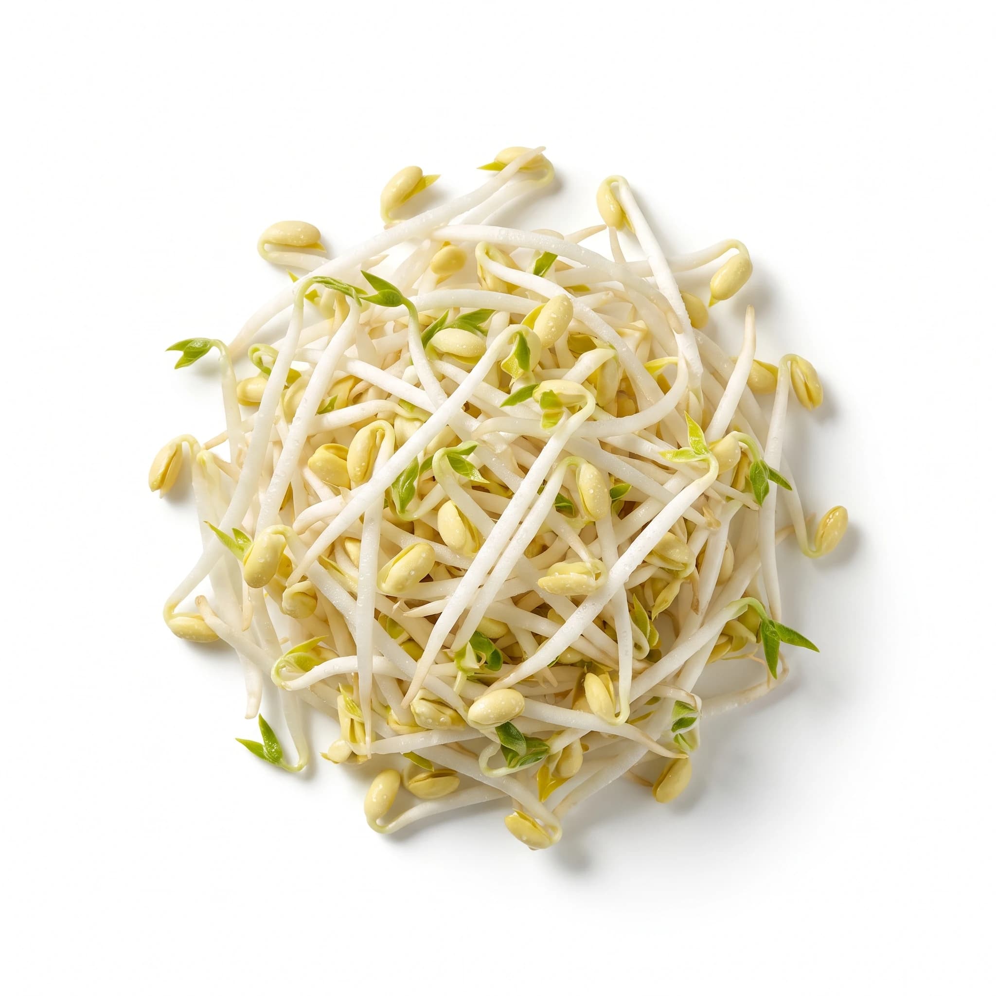 Germen de soya, por kilo