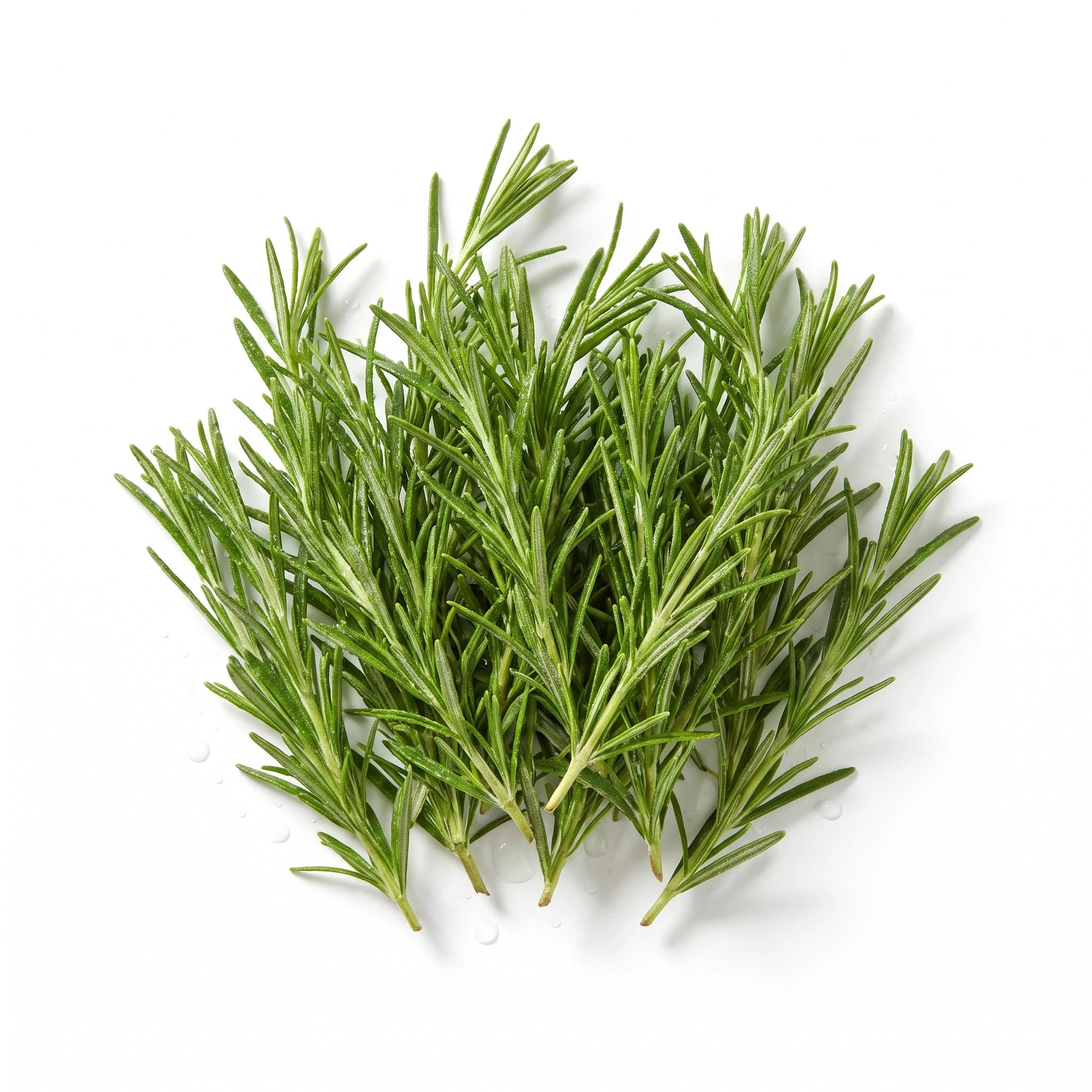 Romeritos