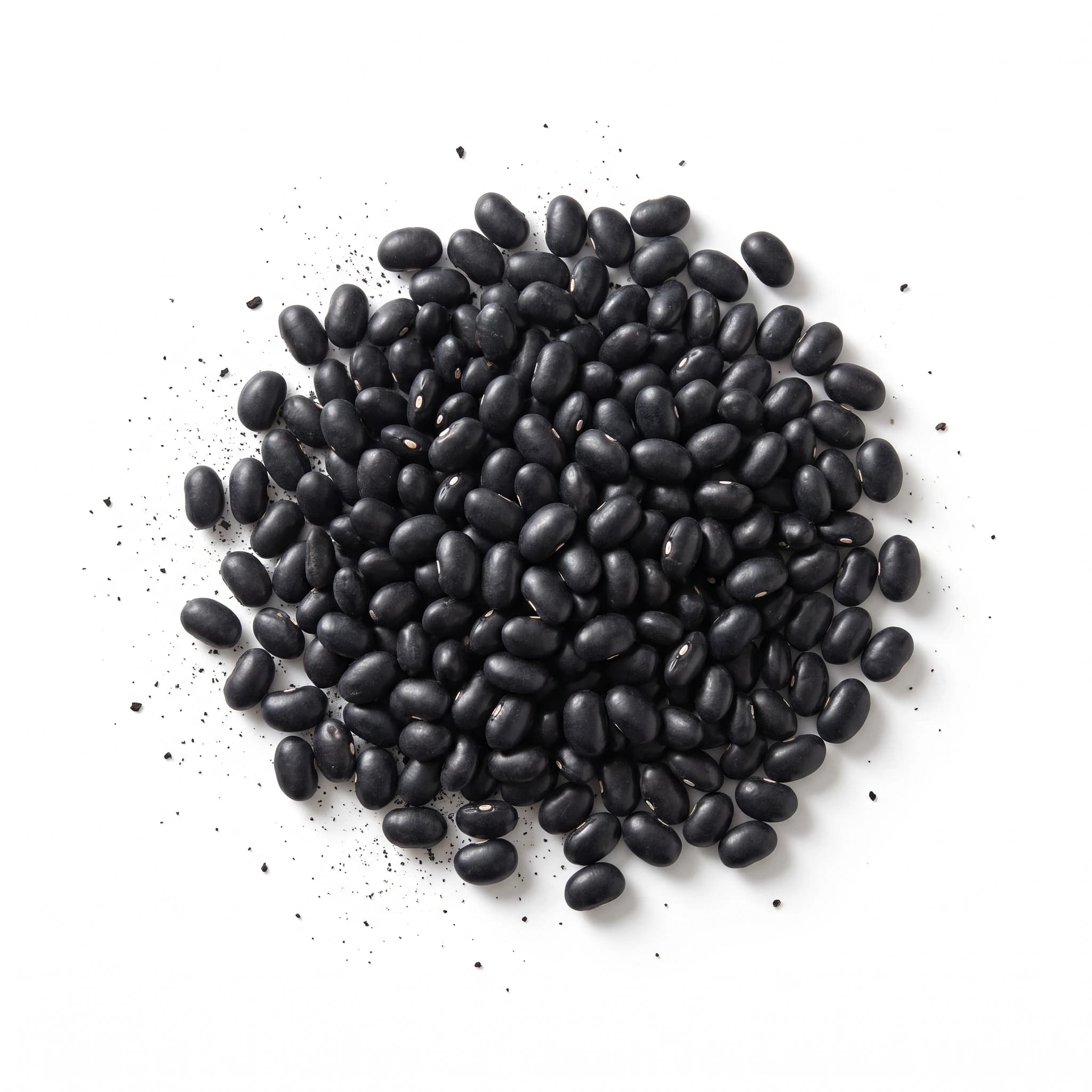 Frijol negro michigan, por kilo