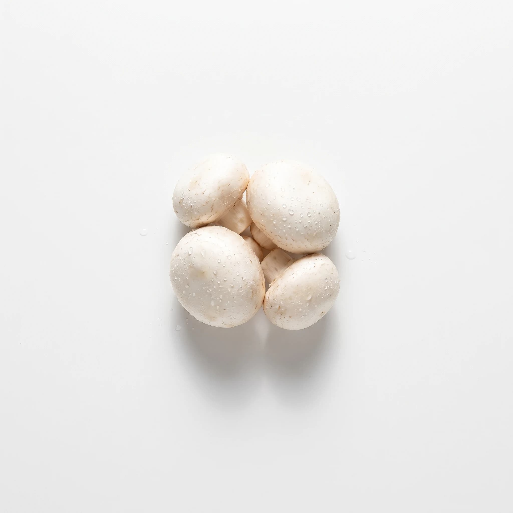 Champiñon