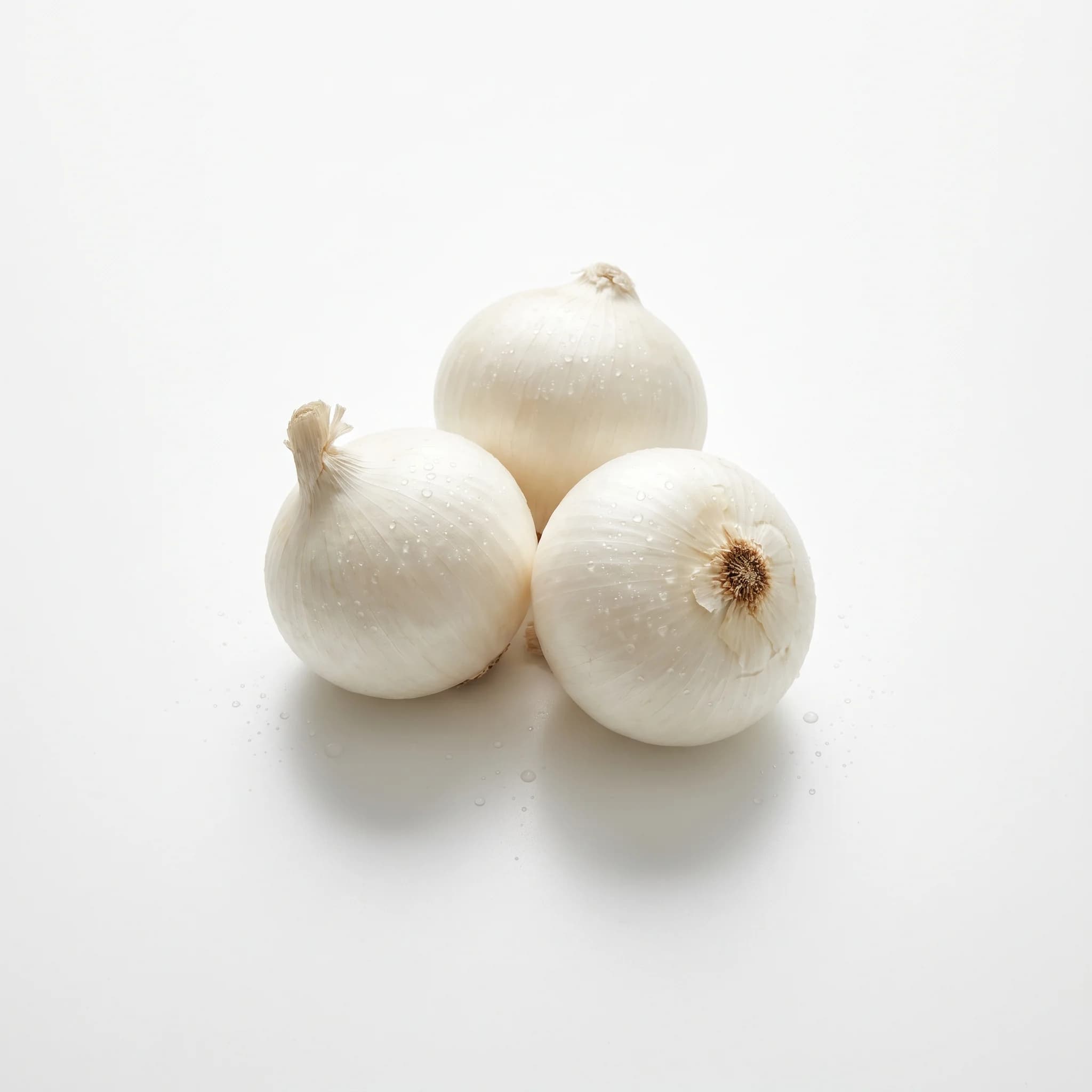Cebolla