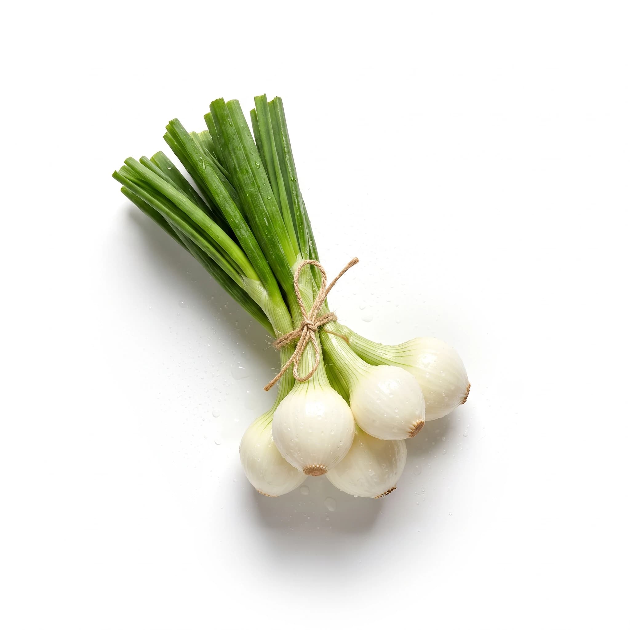 Cebolla cambray (bulbo)