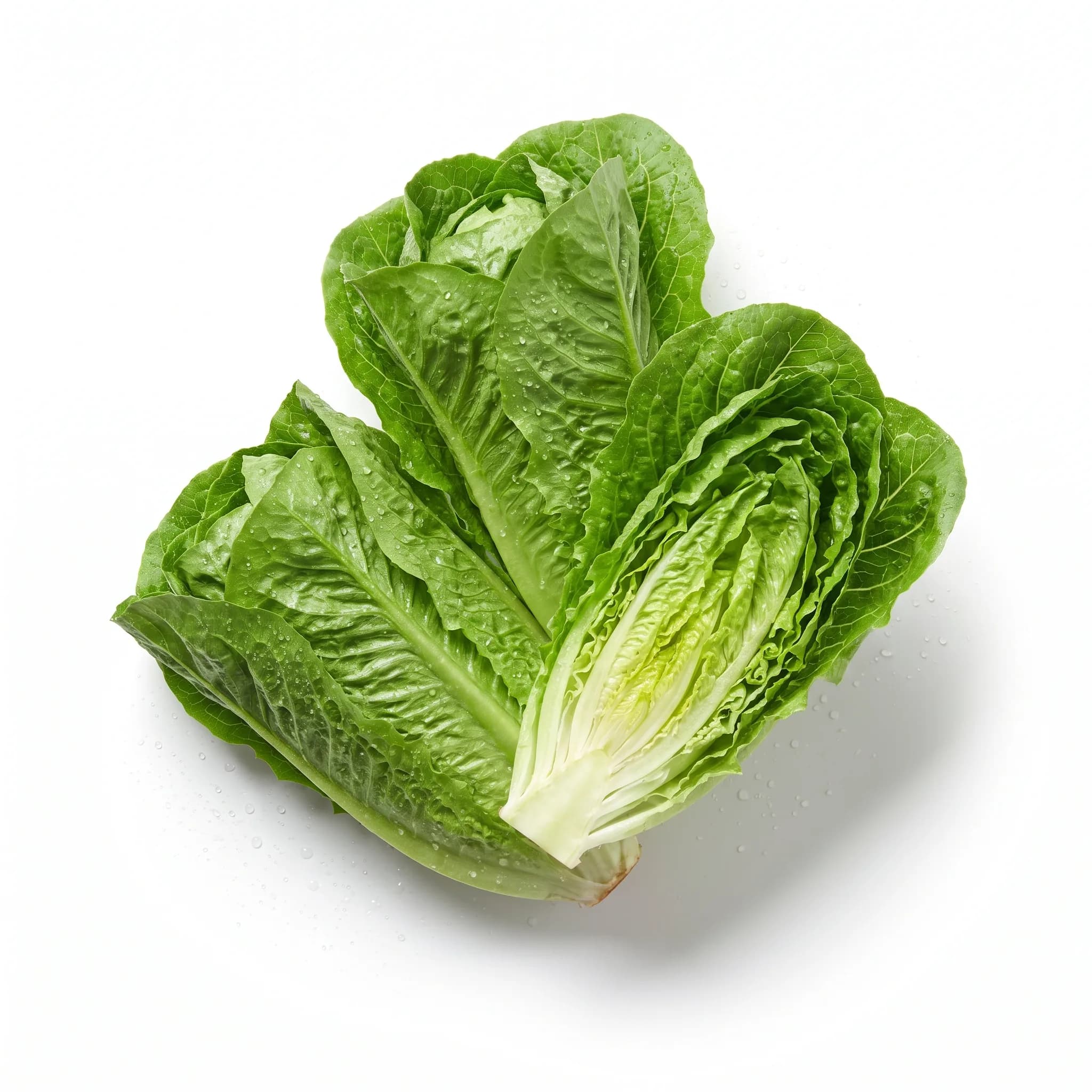 Lechuga romana, por kilo